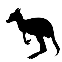 Silhouette Of Kangaroo
