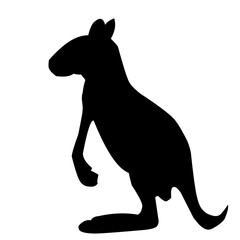 Silhouette Of Kangaroo
