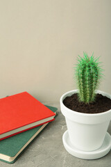 Notepad with small cactus on grey background. Top view