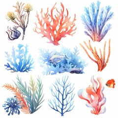 Fototapeta na wymiar Underwater Sea element in watercolor on the white background.
