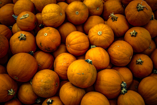 Farm-Fresh Seasonal Fruits & Veggies: Nature's Bounty Delivered