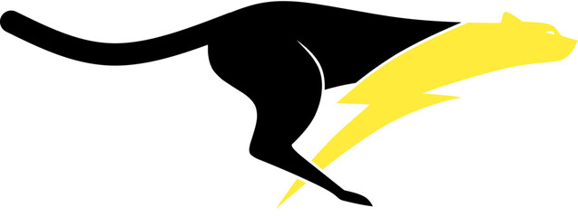 panther and lightning silhouette and vector illustration design