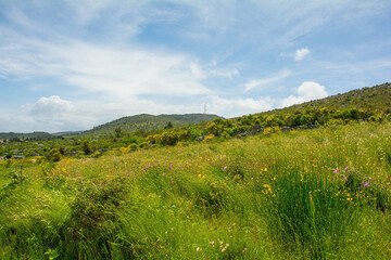 Fototapeta na wymiar The rural landscape near Dracevica on Brac Island in Croatia in May