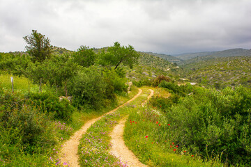 The spring landscape near Loziscz village on Brac Island in Croatia