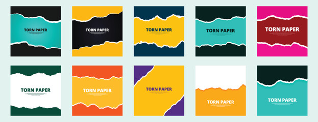 torn paper post or banner set or collection design. rip, Ripped paper sheet, edge and strips  vector illustration