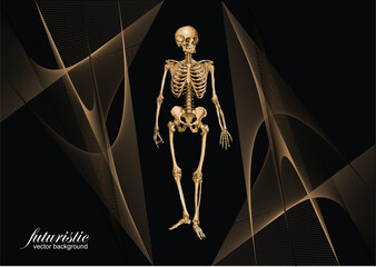 Abstract futuristic background with skeleton image. Vector 3d illustration.