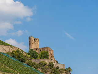 Obraz premium Castle Above Vineyard