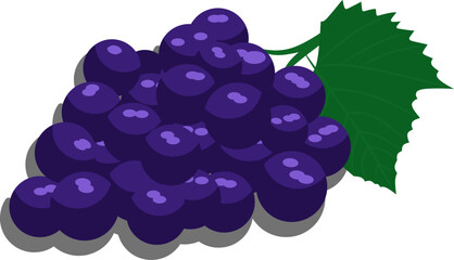 silhouette and vector illustration design of grapes