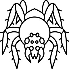 spider  icon