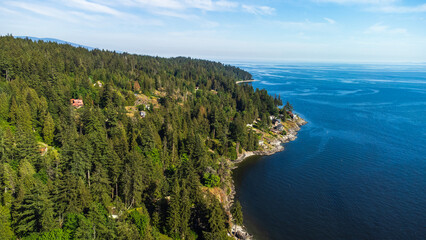 Obraz premium Forest coastline running along Halfmoon Bay. Georgia Straight on a sunny afternoon