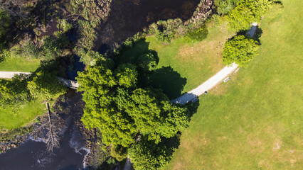 View of green forest. Taken over Jericho Beach Park, West Point Grey, Vancouver. 