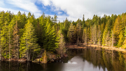 Fototapeta na wymiar Lake in the woods on a cloudy day