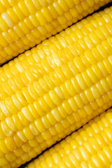 Texture of Boil Corn on the Cob