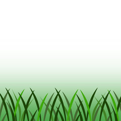 Grass Illustration Isolated on White