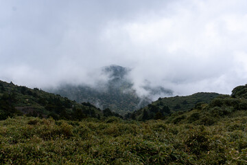Fototapeta na wymiar The view between Mt. Kuromi and Mt. Miyanoura in Yakushima