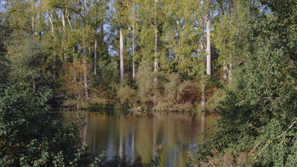 Friedlicher Herbstmorgen