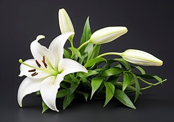 Fototapeta premium Beautiful fresh lily flower with green leaves, isolated on black background. AI Generated