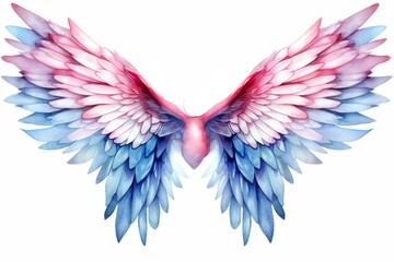 Beautiful magic watercolor blue pink wings.