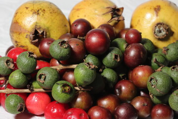 healthy fruits collection for a healthy diet plan