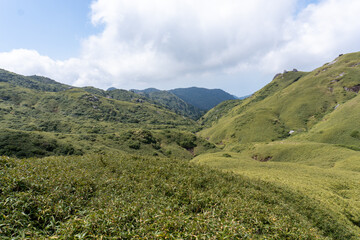 Fototapeta na wymiar The view between Mt. Miyanoura and Mt. Nagata in Yakushima