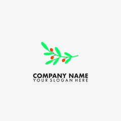 Cherry plant Logo vector template on isolated background.