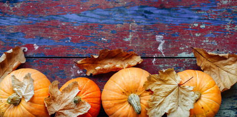 Bright orange pumpkins with yellow dry leaves on a red and blue crafting background. Conceptual...