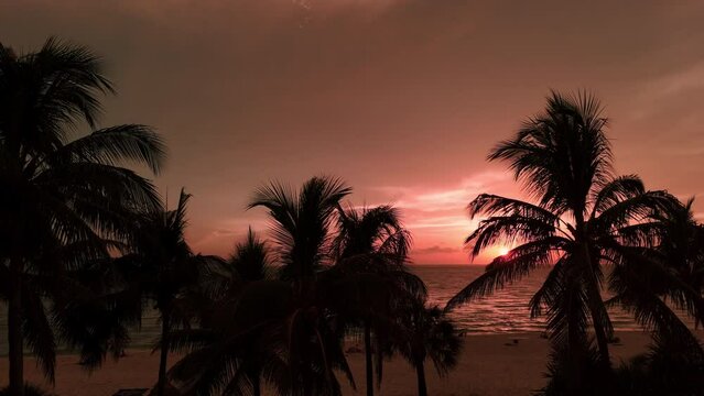 Move aerial wide footage. Silhouette of palm trees on beach at sunset time . 