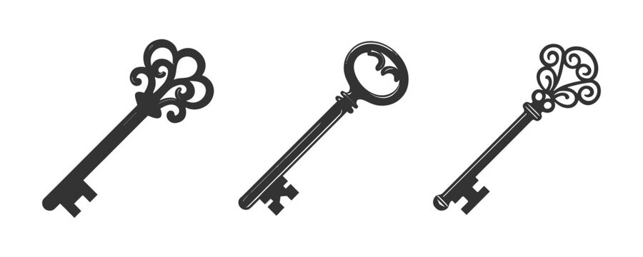 Black key silhouette. Vector illustration