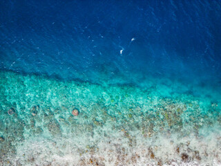 Fototapeta na wymiar Beautiful costaline with differend shade of ocean colour at Gili Island in Lombok, Indonesia. Vertical aerial view of seashore