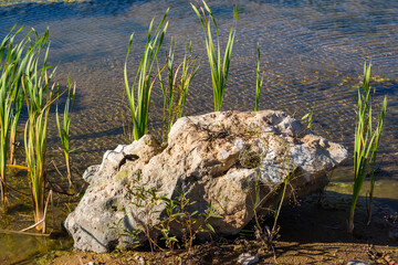Large limestone stone lying on the shore of a pond