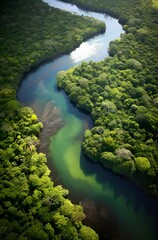 Aerial view of the Amazonas jungle landscape with river bend. - obrazy, fototapety, plakaty