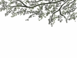 木の葉のぼやけた影が壁に映る背景