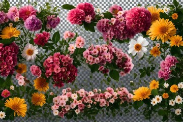 Obraz na płótnie Canvas bush of flowers on transparent background