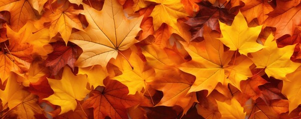 Naklejka na ściany i meble Autumn maple orange leaves many together, panorama. Generative Ai.