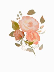 Media's Paper 5
On a white background, a floral bouquet of three orange roses. Digital watercolor painting. Perfect for various projects and designs.