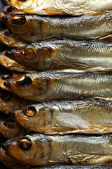 Concept of tasty food - delicious smoked fish