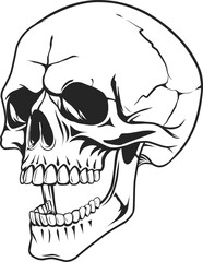 human skull art vector illustration, line art of skull of human, hand drawn skull