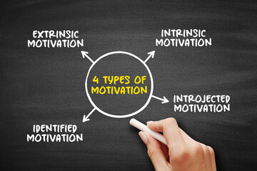 4 types of Motivation mind map concept for presentations and reports