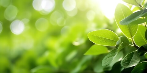 green foliage background with blur effect. generative AI