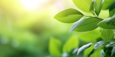Fototapeta na wymiar green foliage background with blur effect. generative AI