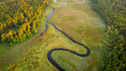 Natural river between the forest - aerial high view