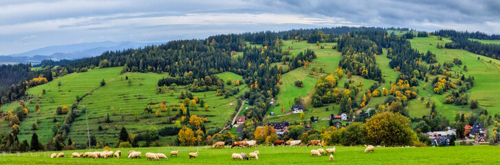 panoramic view of a village in the Carpathian Mountains. Poland