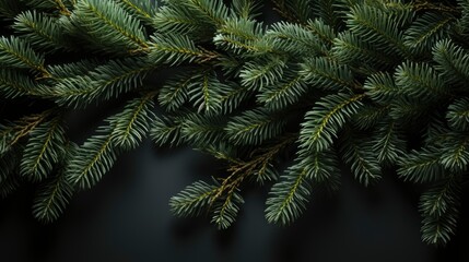 Realistic Christmas Tree Branches Background, Merry Christmas Background , Hd Background