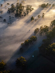 view from above on Hunter Valley, NSW, AUSTRALIA