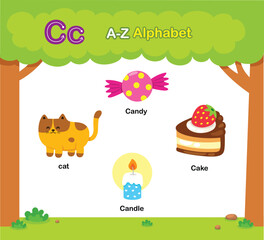 Fototapeta premium Alphabet Letter C education vocabulary illustration vector