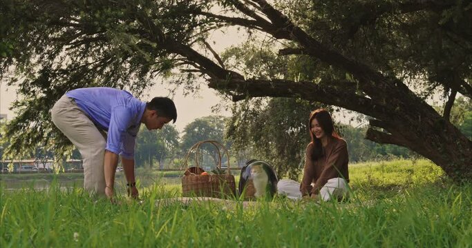 Handheld shot Young Asian couple dating in the public park for picnic together with cat on sunny day. Holiday weekend and vacation concept.