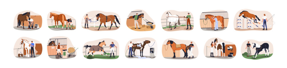 Horse care, treatment and training set. Equestrians with stallions in stables. Workers breeding, cleaning, grooming, feeding equine animals. Flat vector illustrations isolated on white background - obrazy, fototapety, plakaty