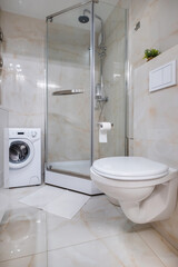 toilet and detail of a corner shower cabin with wall mount shower attachment