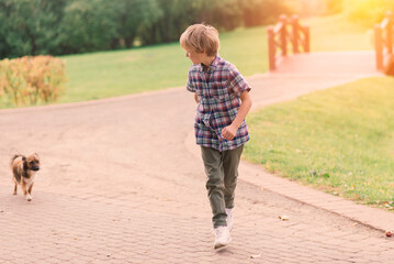 Fototapeta premium Cute boy playing and walking with his dog in a meadow.
