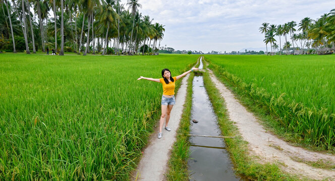 Panoramic view of green paddy field with a girl standing and open hands